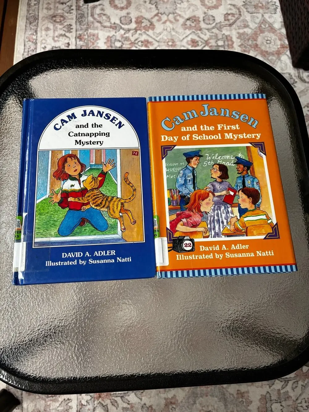 Cam Jansen Hardcover Book Lot #18 #22 David A Adler Ex Library Mystery Books